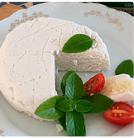 Queijo fermentado
